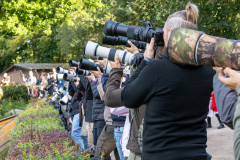 InstaMeet_Wildpark_ccbysa_tl_20230923-3