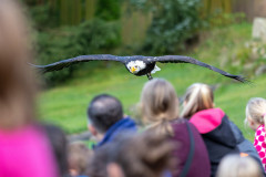 InstaMeet_Wildpark_ccbysa_tl_20230923-4