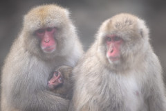 Aiko_Sukdolak-0139