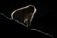 Aiko_Sukdolak-2542