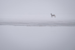 Aiko_Sukdolak-6705