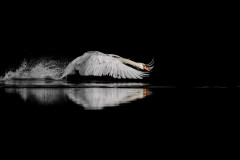 Take off
