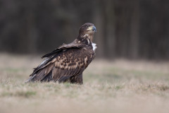 AikoSukdolak_DSC_6137-Bearbeitet-Kopie