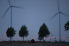 AikoSukdolak_20190430-20190430-_DSC7675