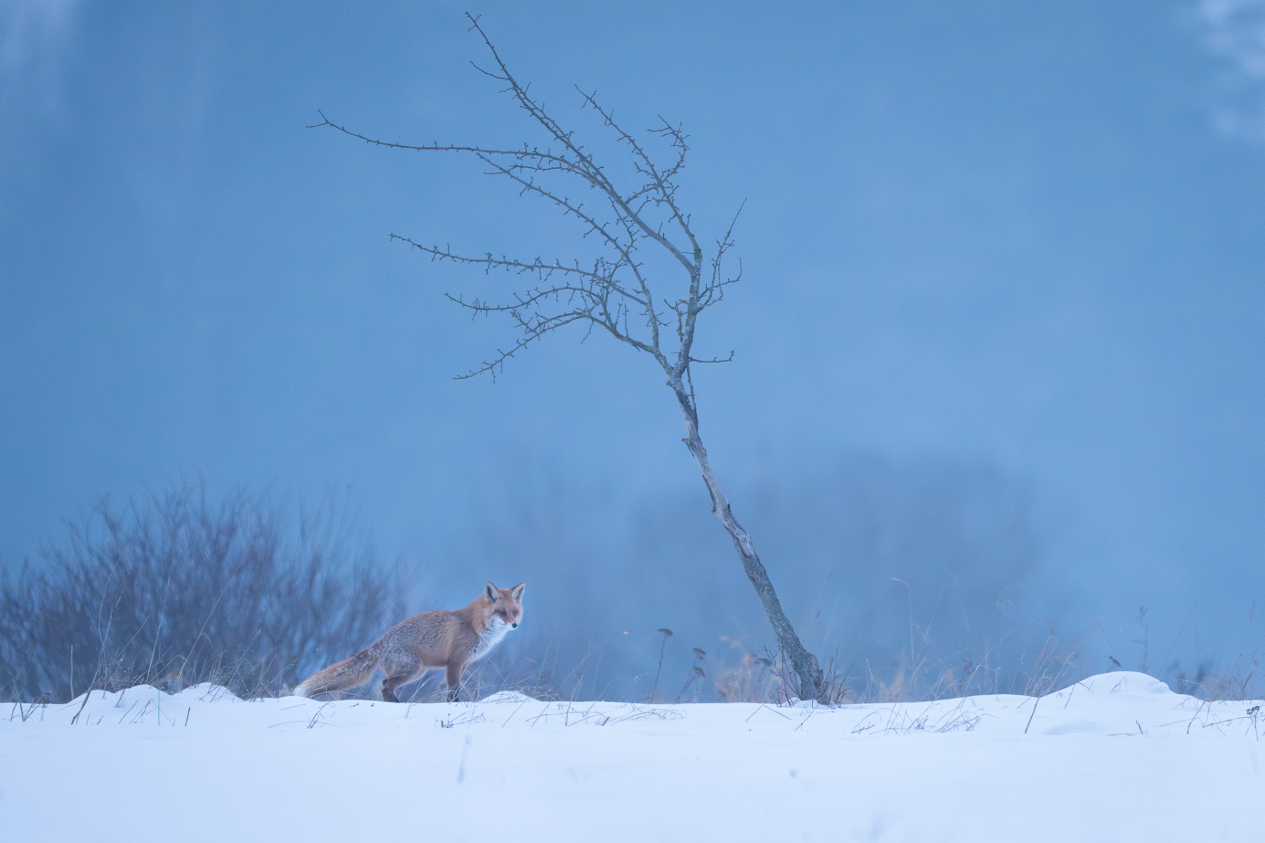 Aiko_Sukdolak-Fotoreise-Polen-0257 Aiko_Sukdolak-Fotoreise-Polen-0257