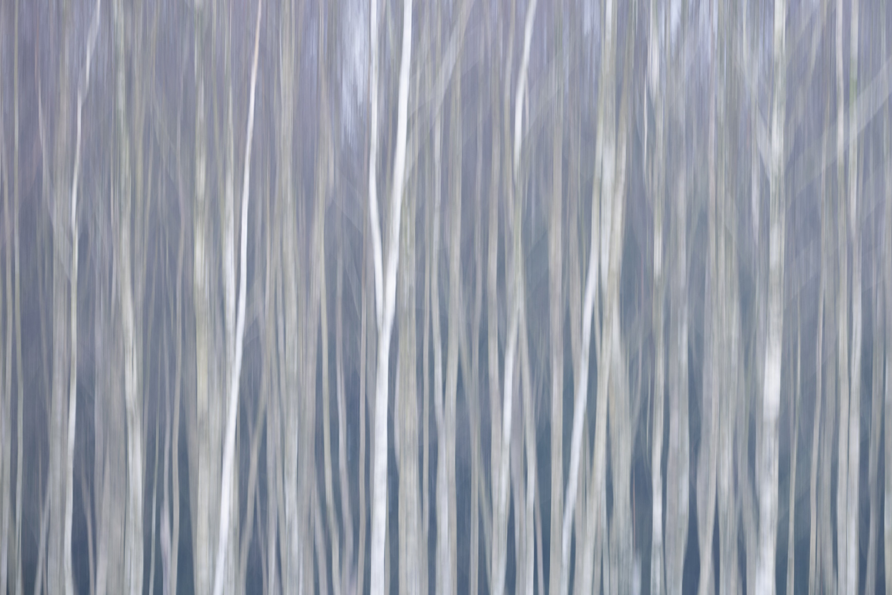 Aiko_Sukdolak-Fotoreise-Polen-0292 Aiko_Sukdolak-Fotoreise-Polen-0292