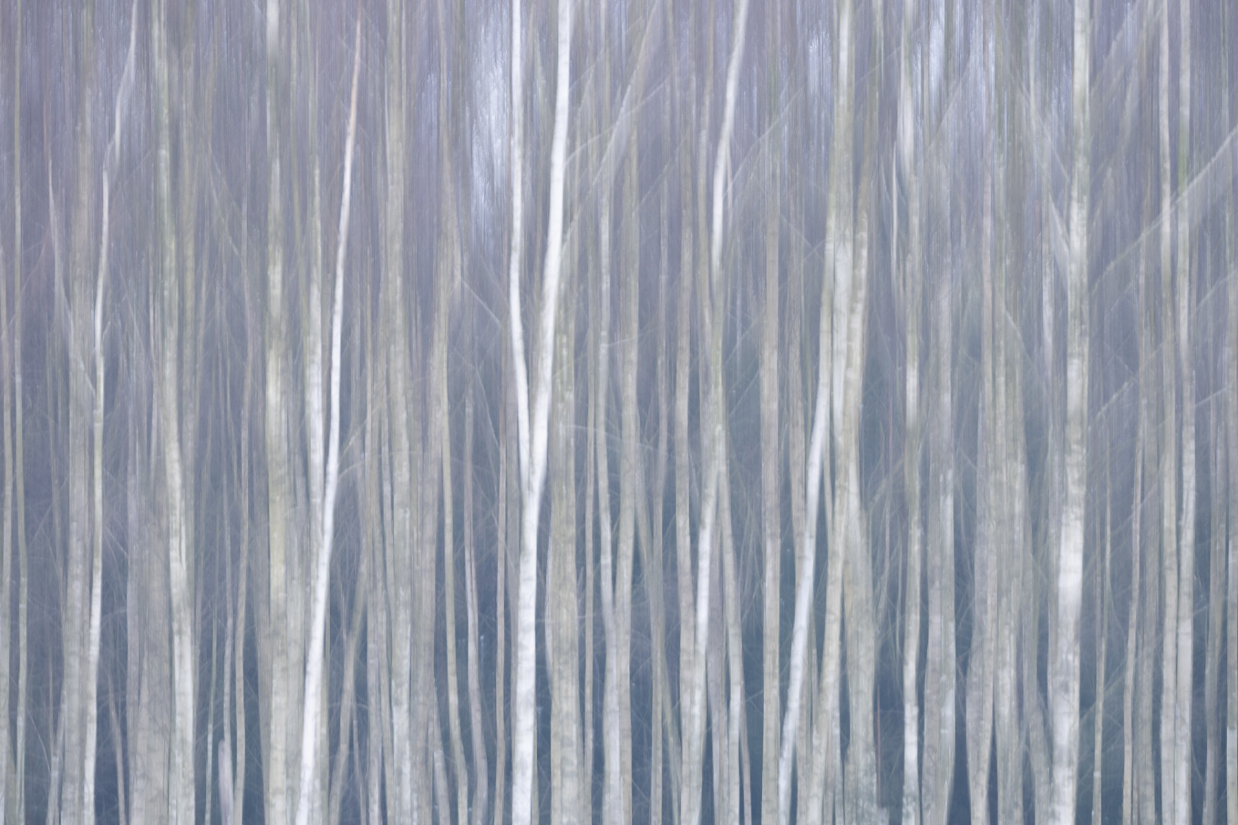 Aiko_Sukdolak-Fotoreise-Polen-0293 Aiko_Sukdolak-Fotoreise-Polen-0293