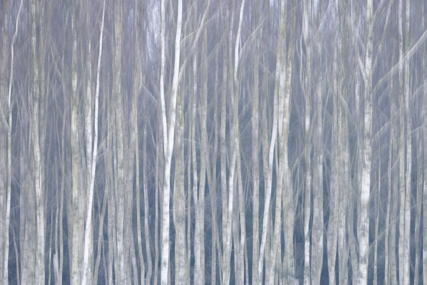 Aiko_Sukdolak-Fotoreise-Polen-0296 Aiko_Sukdolak-Fotoreise-Polen-0296