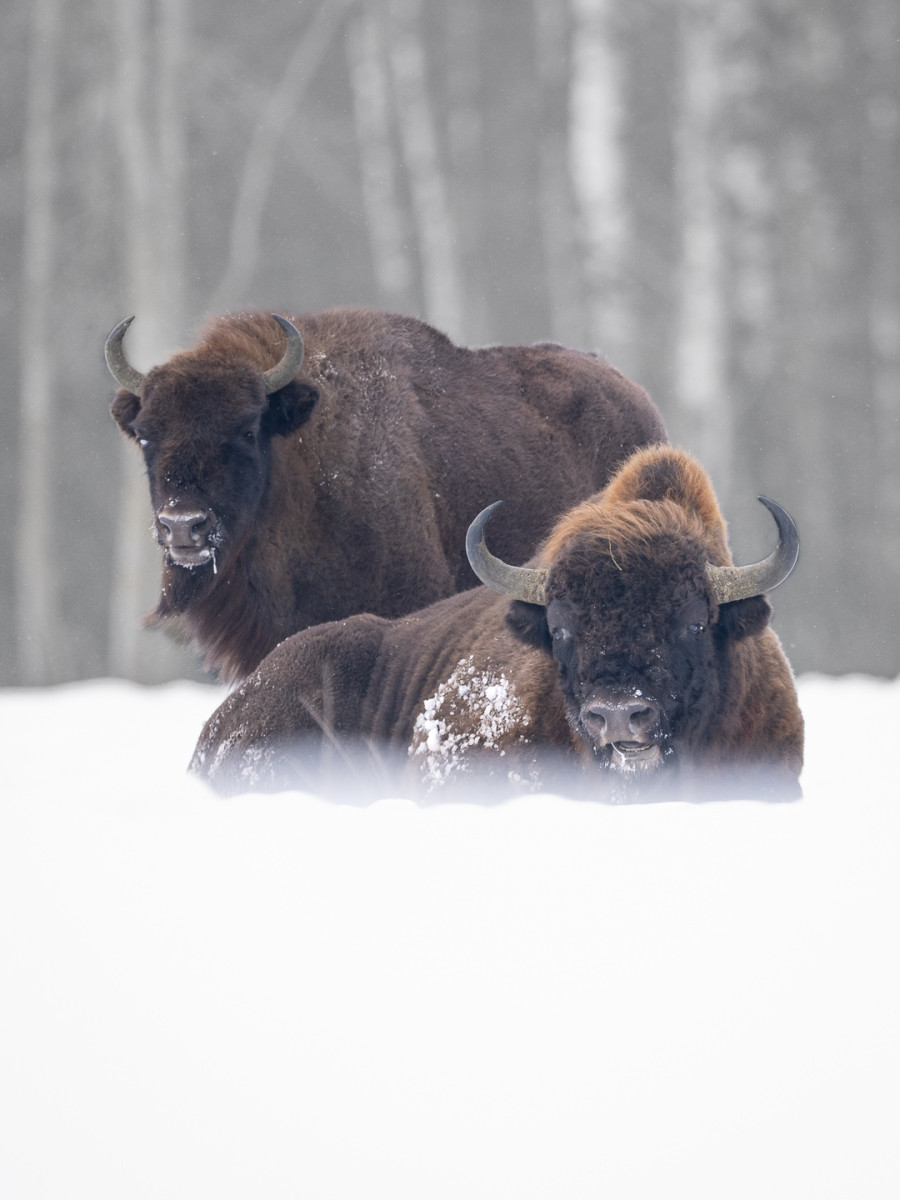 Aiko_Sukdolak-Fotoreise-Polen-0466-2 Aiko_Sukdolak-Fotoreise-Polen-0466-2