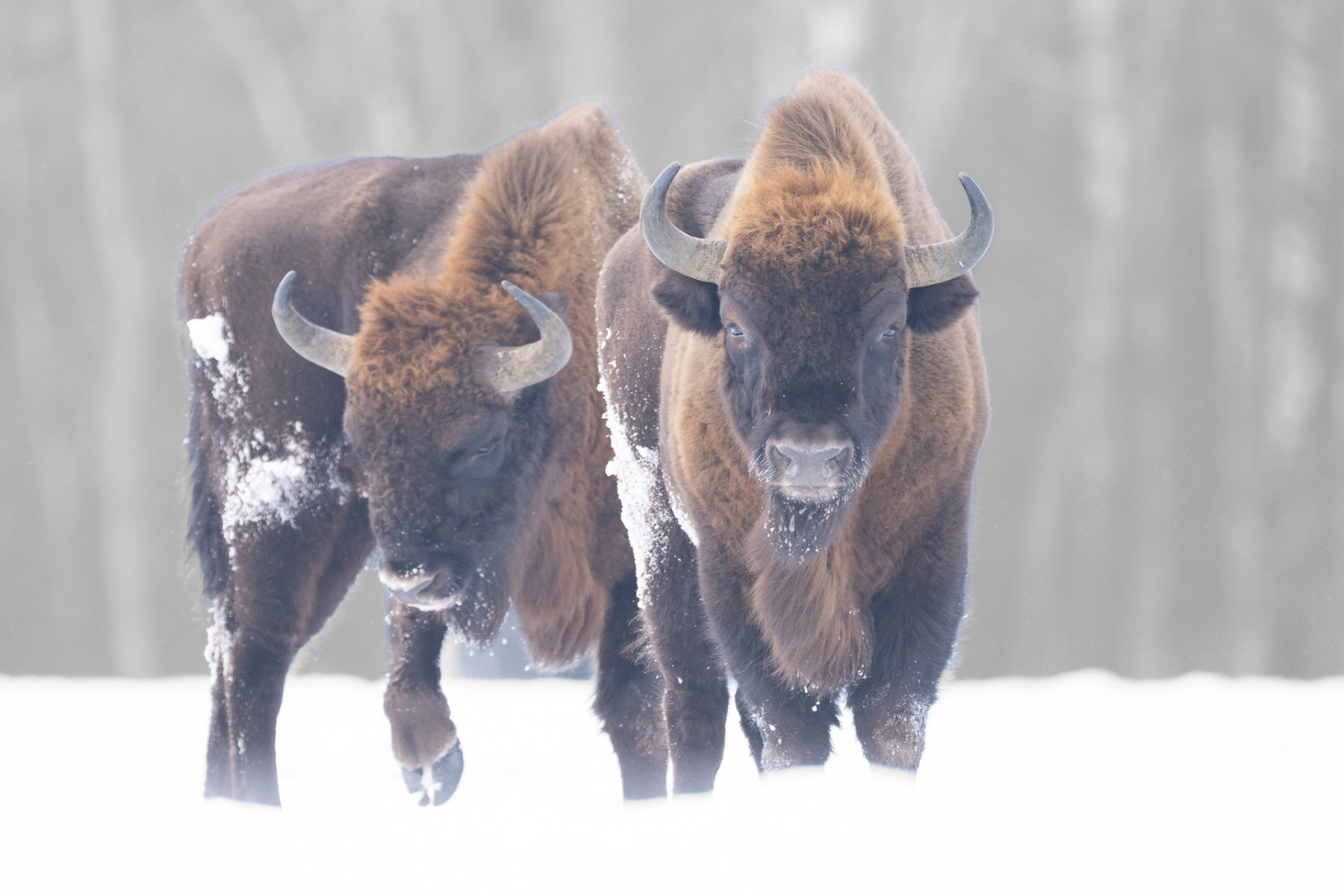 Aiko_Sukdolak-Fotoreise-Polen-0561 Aiko_Sukdolak-Fotoreise-Polen-0561