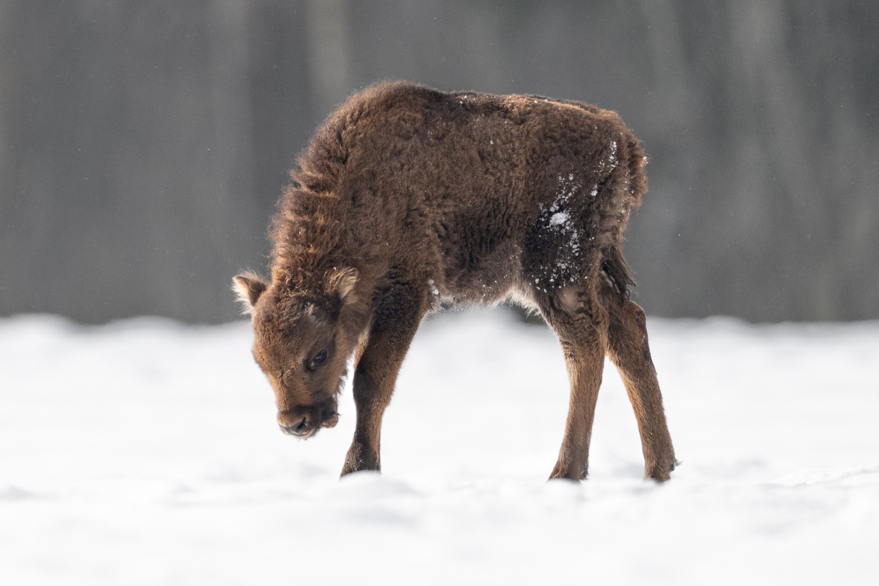 Aiko_Sukdolak-Fotoreise-Polen-0691-2 Aiko_Sukdolak-Fotoreise-Polen-0691-2