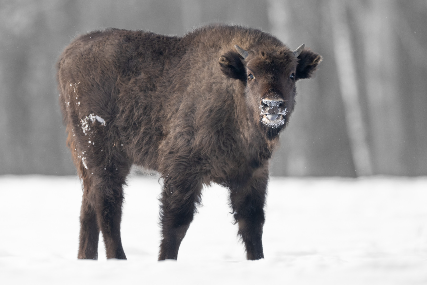 Aiko_Sukdolak-Fotoreise-Polen-0707 Aiko_Sukdolak-Fotoreise-Polen-0707