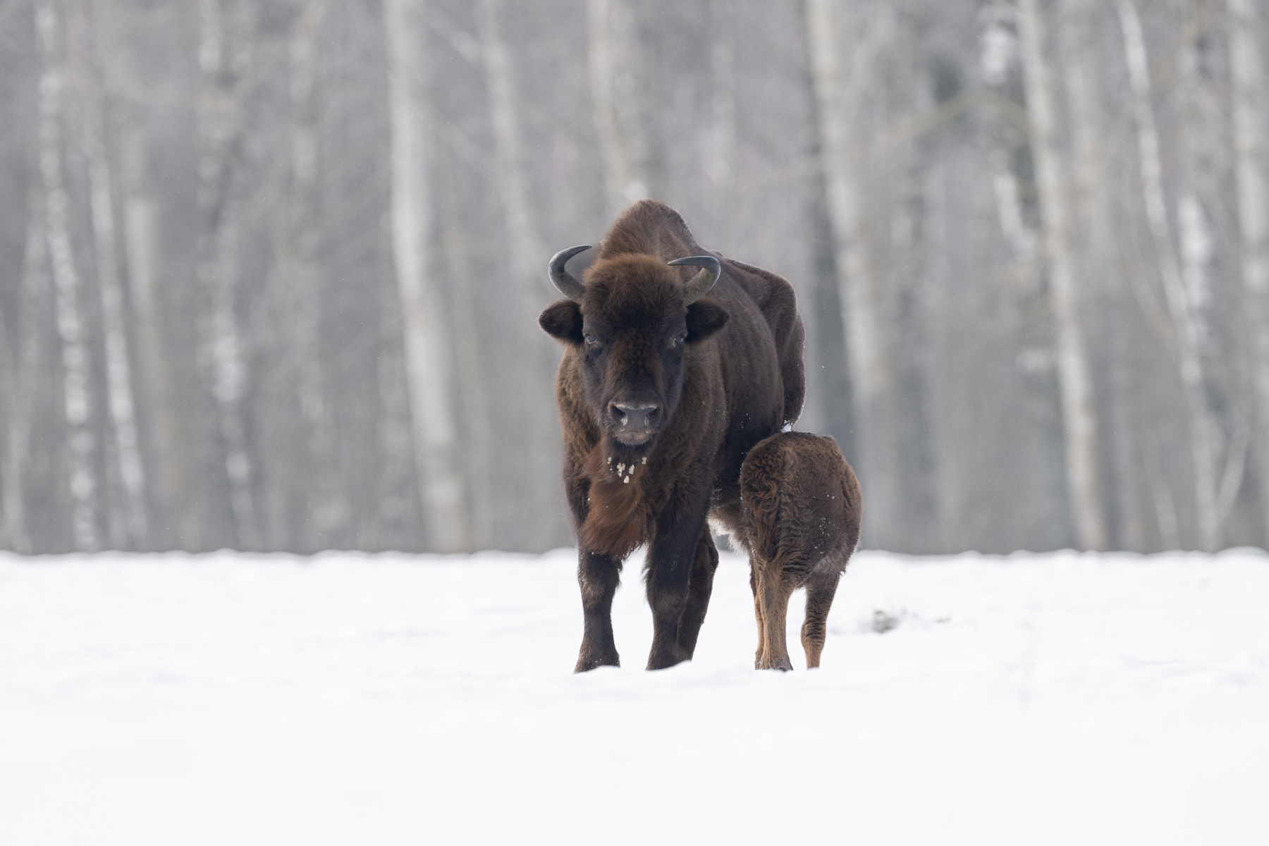 Aiko_Sukdolak-Fotoreise-Polen-0797 Aiko_Sukdolak-Fotoreise-Polen-0797
