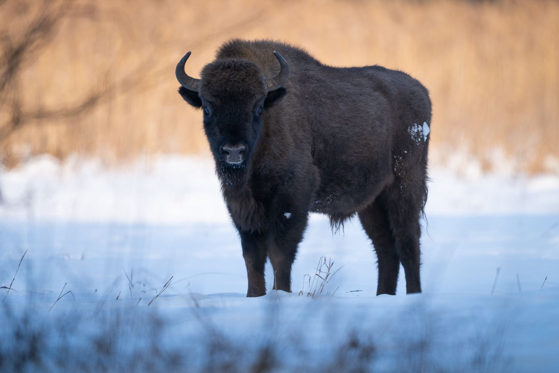 Aiko_Sukdolak-Fotoreise-Polen-0983 Aiko_Sukdolak-Fotoreise-Polen-0983