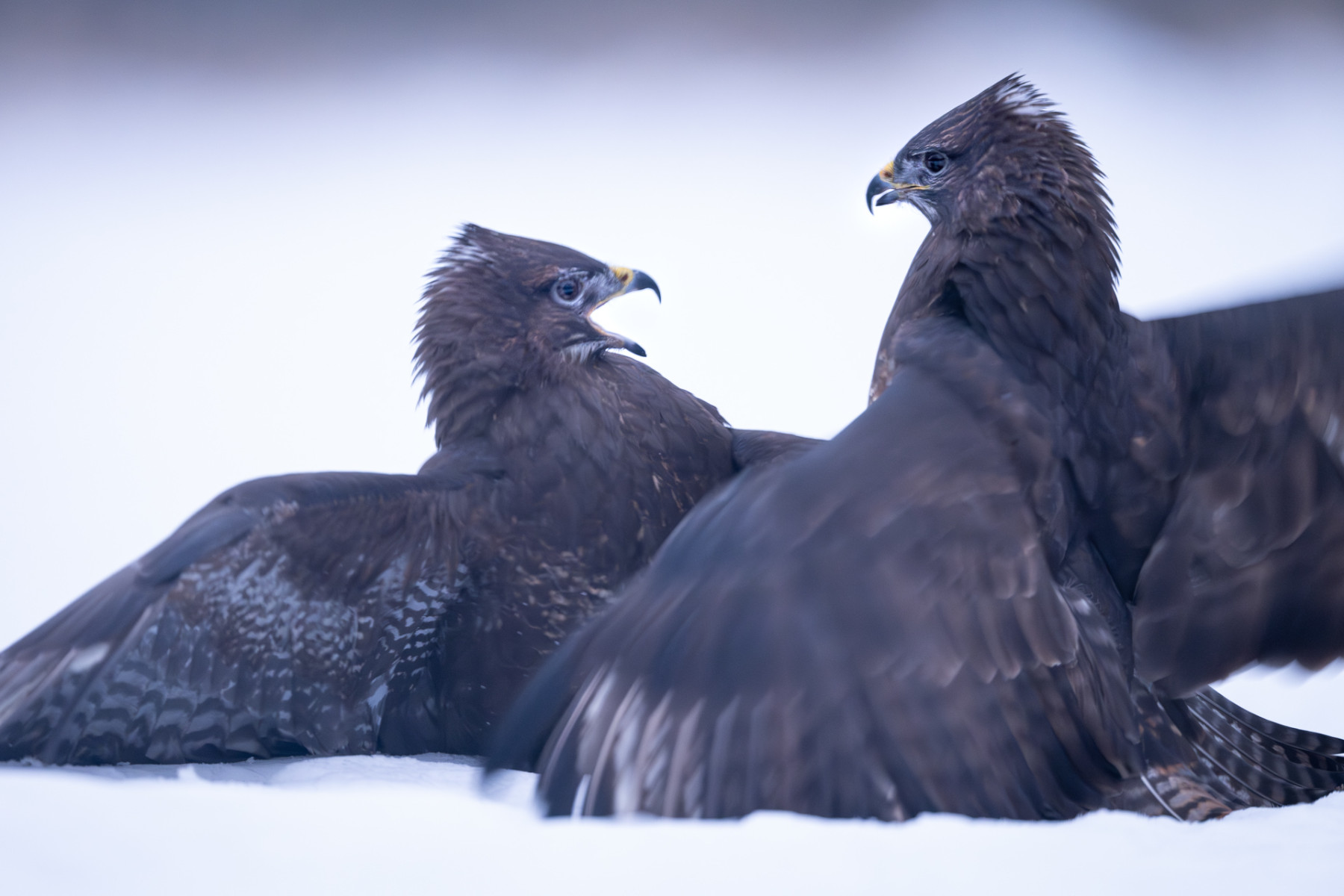 Aiko_Sukdolak-Fotoreise-Polen-1008-3 Aiko_Sukdolak-Fotoreise-Polen-1008-3