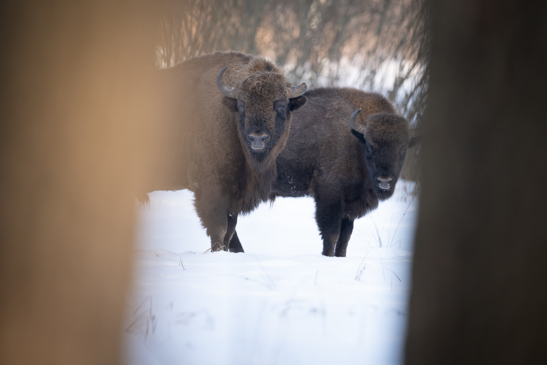 Aiko_Sukdolak-Fotoreise-Polen-1025 Aiko_Sukdolak-Fotoreise-Polen-1025