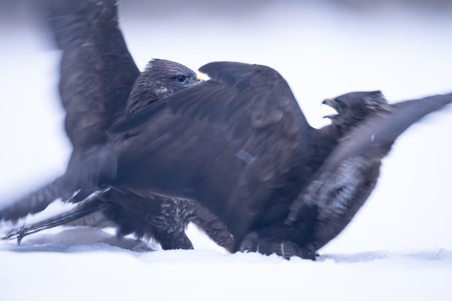 Aiko_Sukdolak-Fotoreise-Polen-1053-2 Aiko_Sukdolak-Fotoreise-Polen-1053-2