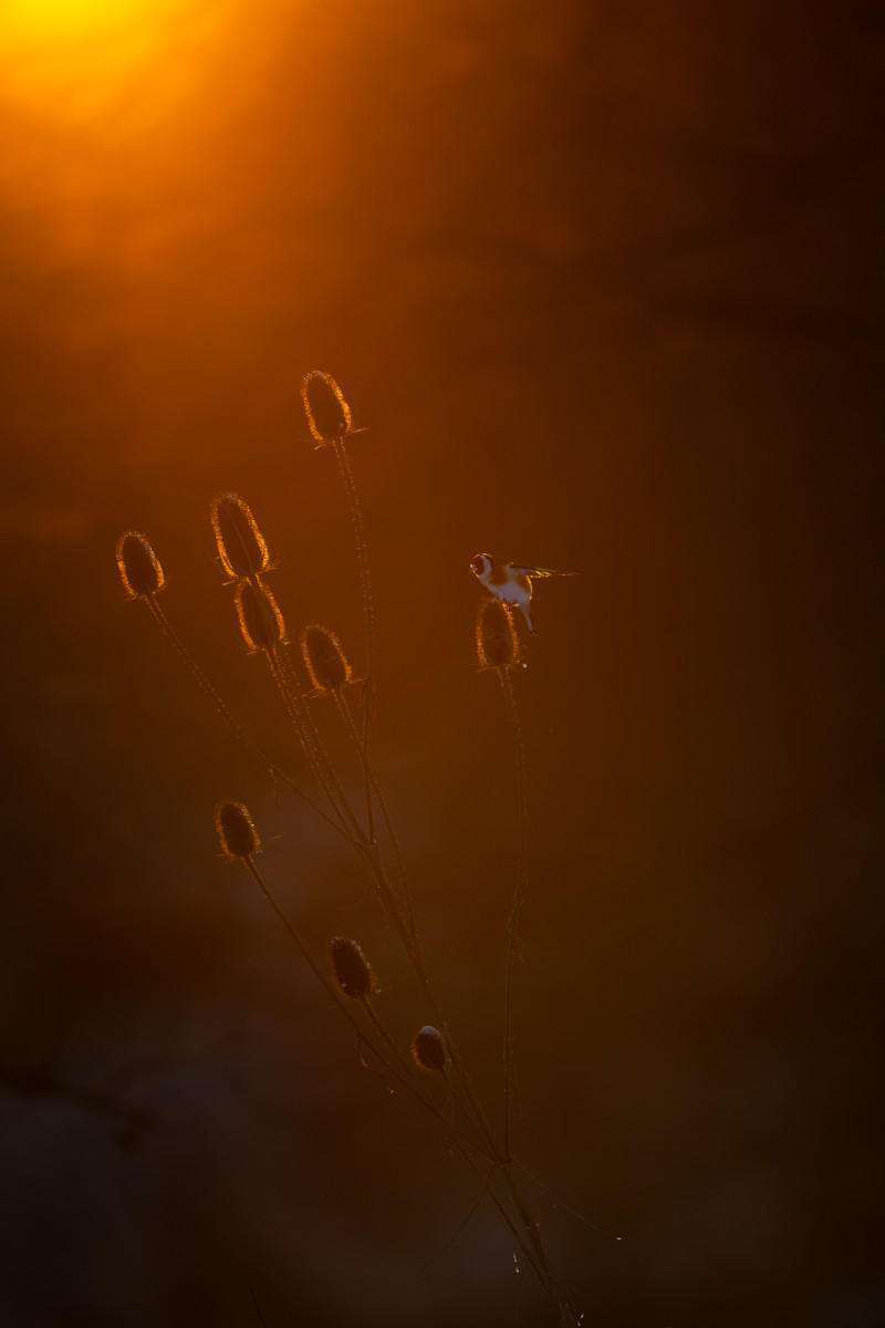 Aiko_Sukdolak-Fotoreise-Polen-1725 Aiko_Sukdolak-Fotoreise-Polen-1725