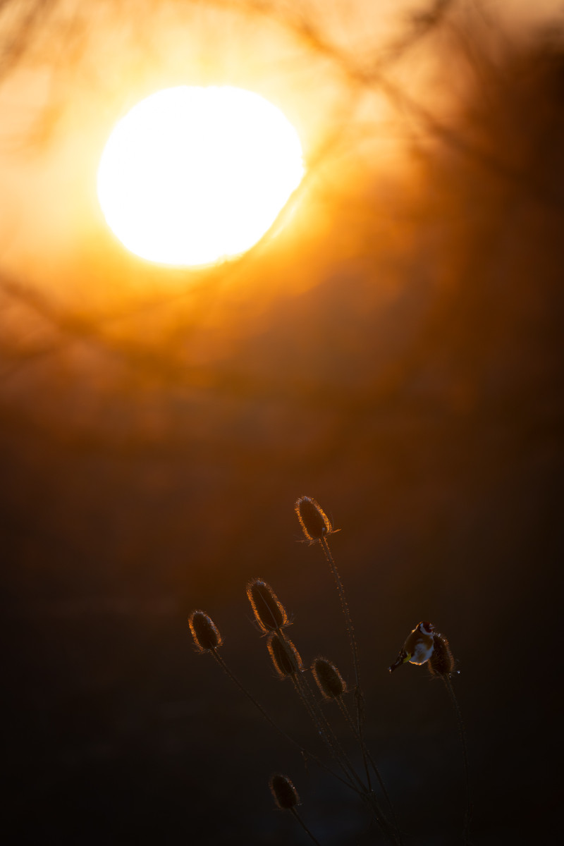 Aiko_Sukdolak-Fotoreise-Polen-1898 Aiko_Sukdolak-Fotoreise-Polen-1898