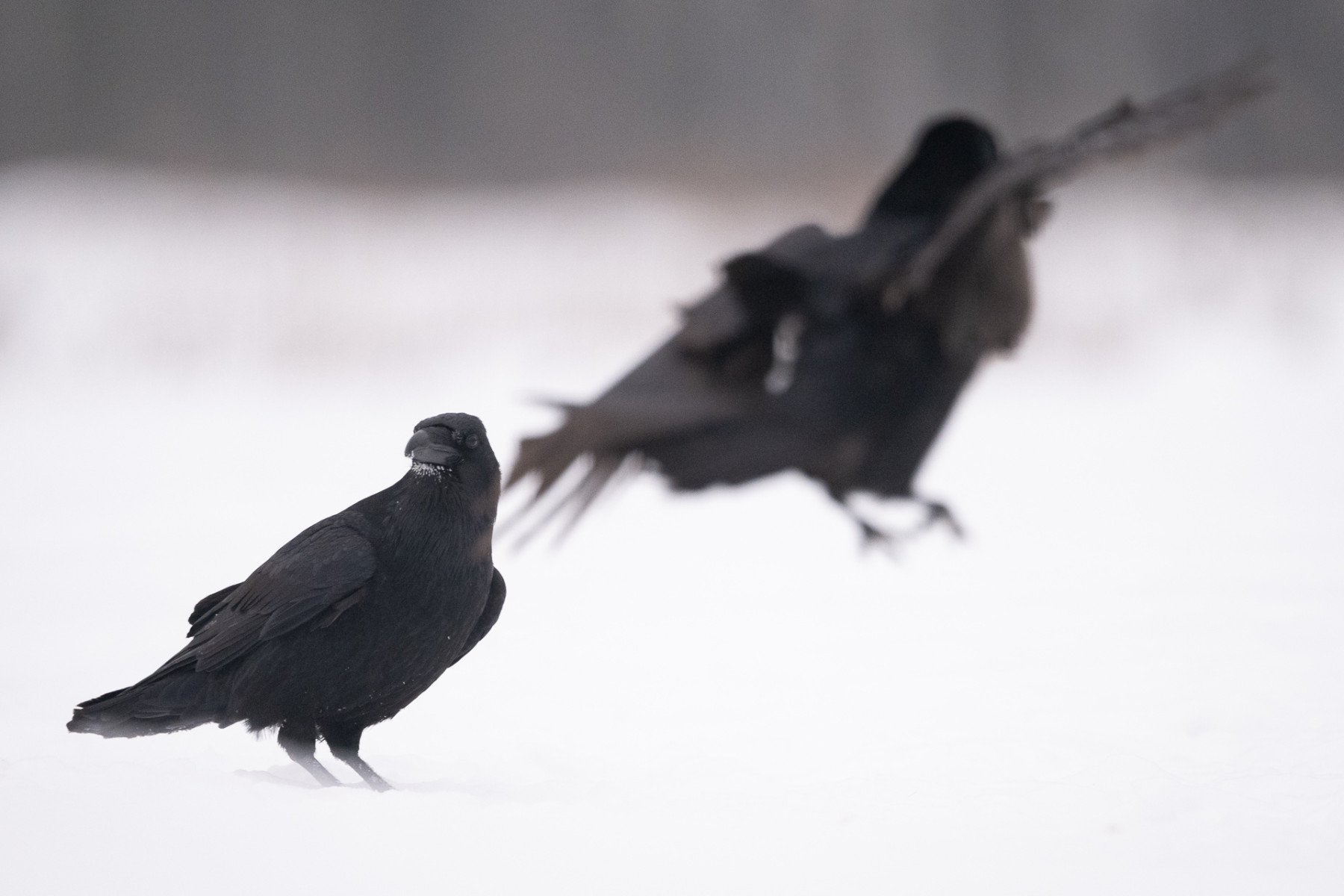 Aiko_Sukdolak-Fotoreise-Polen-2491 Aiko_Sukdolak-Fotoreise-Polen-2491