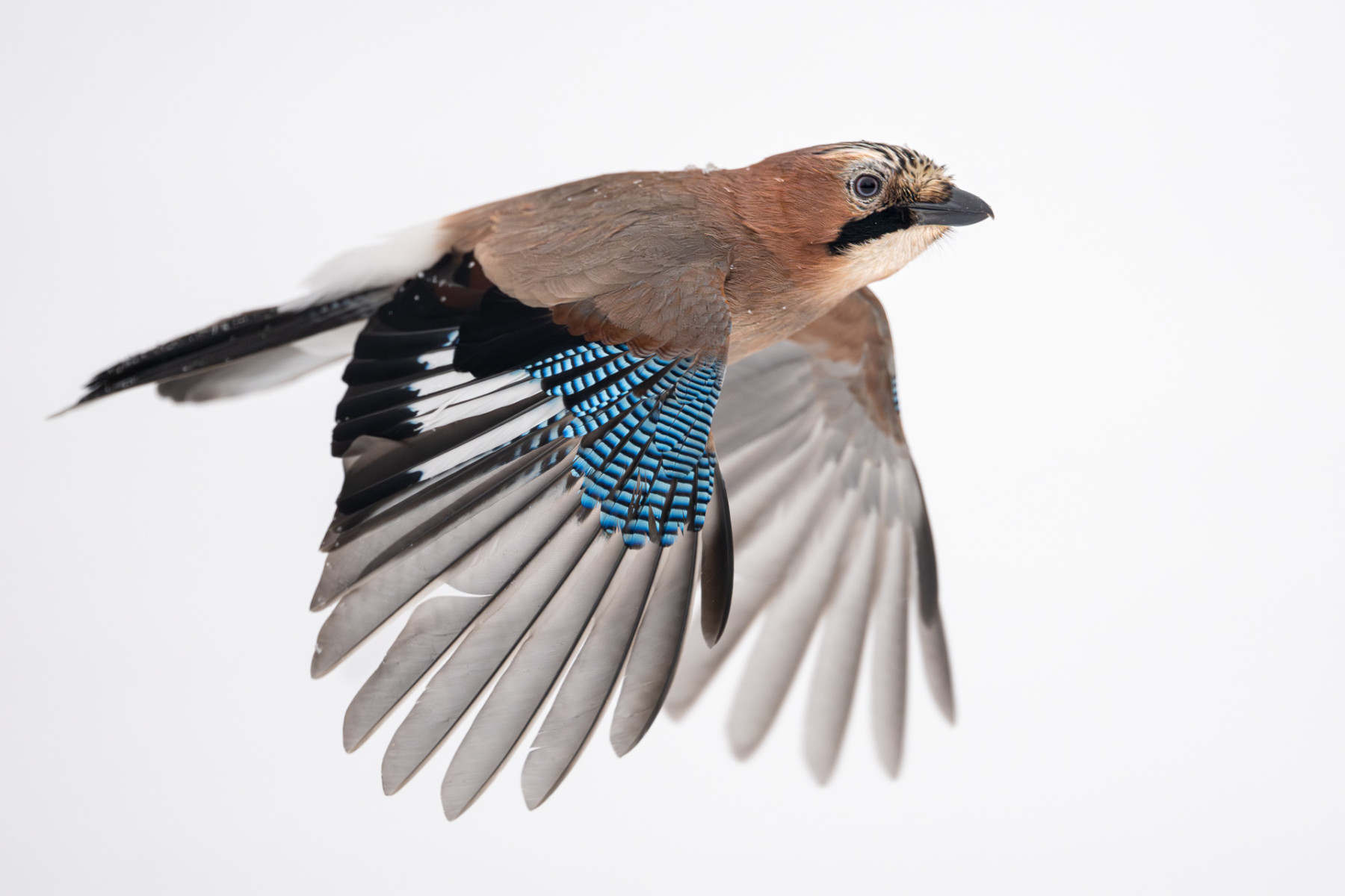 Aiko_Sukdolak-Fotoreise-Polen-4330 Aiko_Sukdolak-Fotoreise-Polen-4330