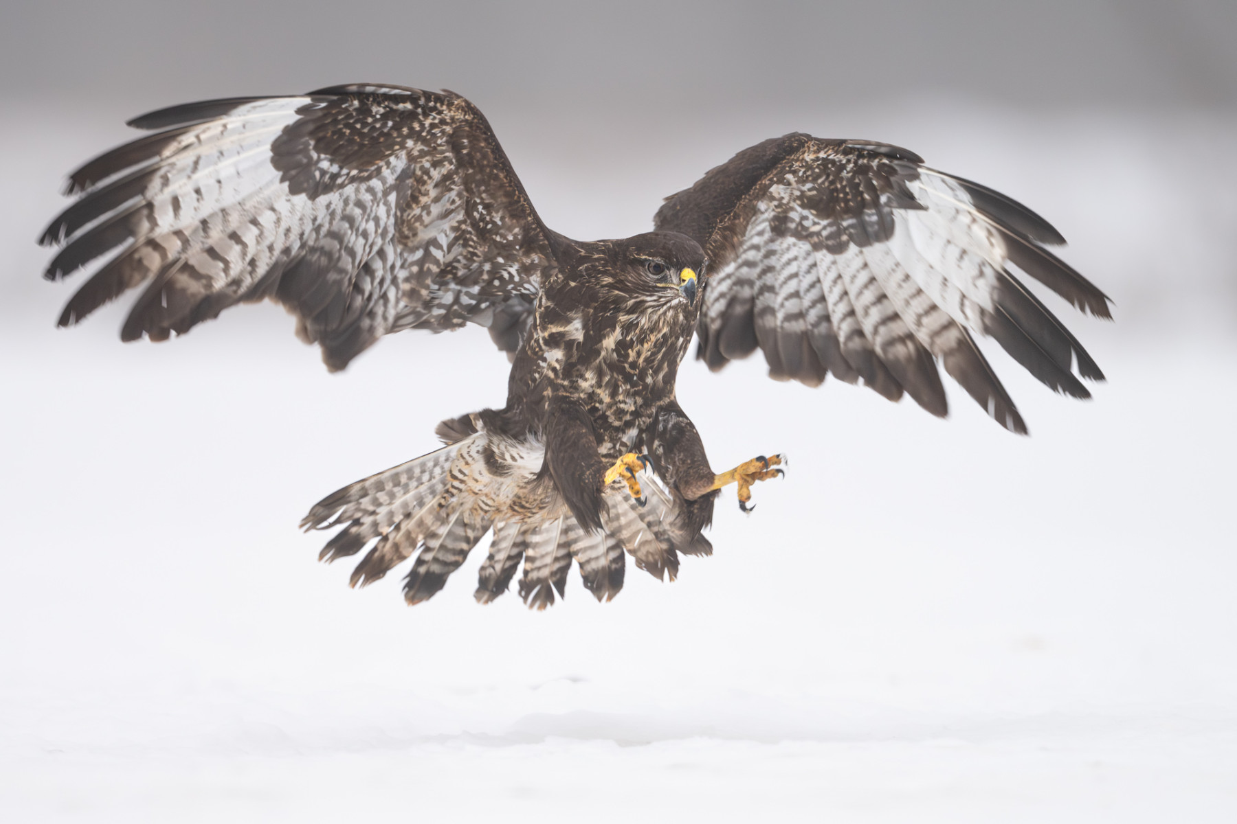 Aiko_Sukdolak-Fotoreise-Polen-7930 Aiko_Sukdolak-Fotoreise-Polen-7930