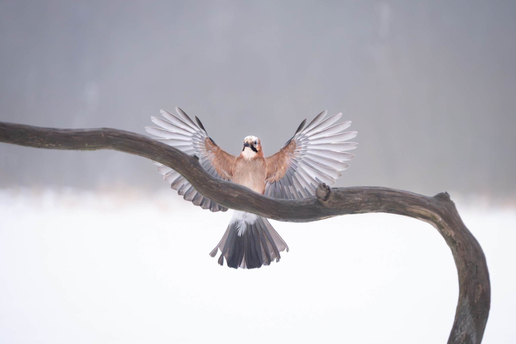 Aiko_Sukdolak-Fotoreise-Polen-8741 Aiko_Sukdolak-Fotoreise-Polen-8741