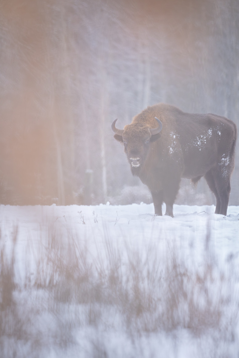 Aiko_Sukdolak-Fotoreise-Polen-8931 Aiko_Sukdolak-Fotoreise-Polen-8931