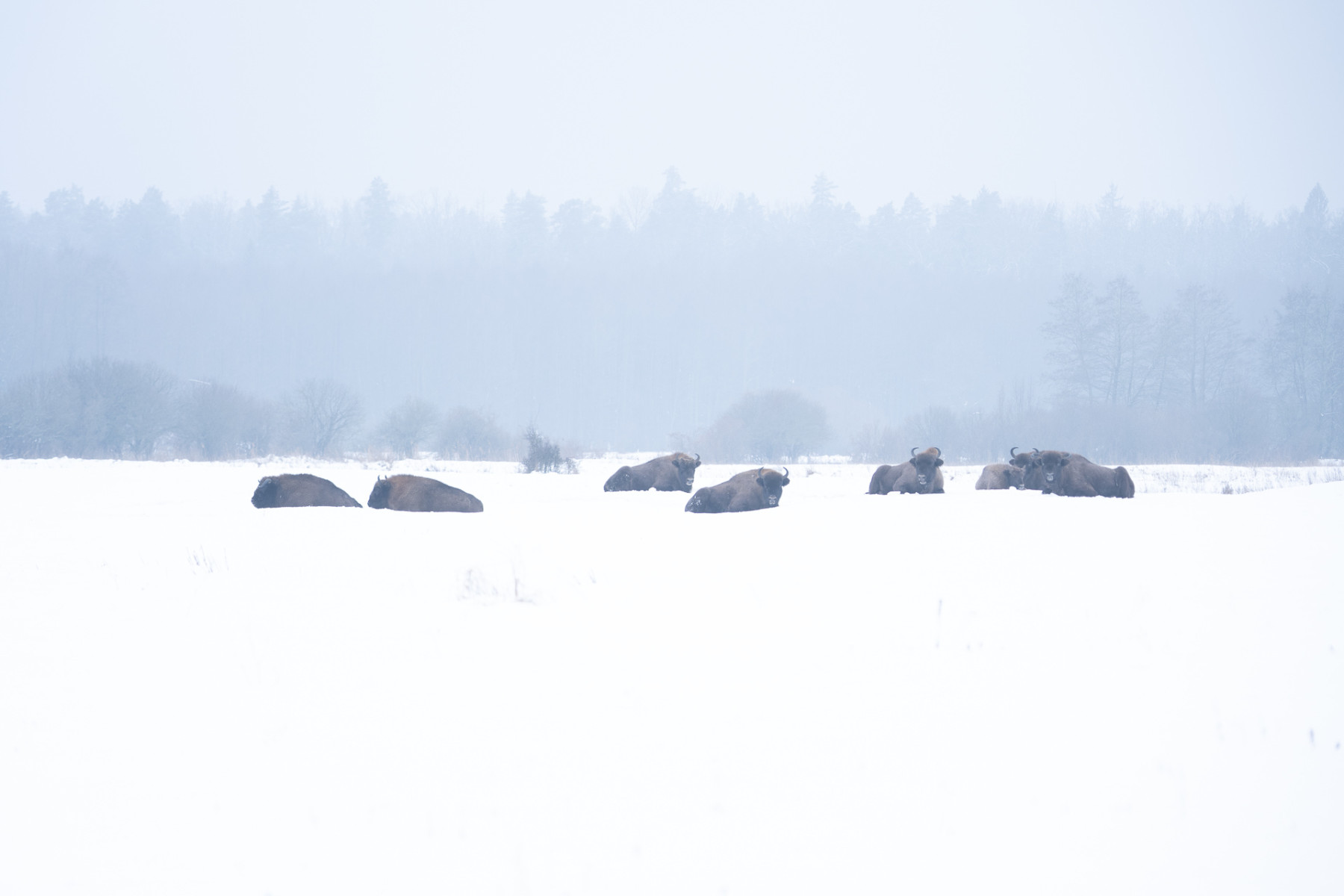 Aiko_Sukdolak-Fotoreise-Polen-9075 Aiko_Sukdolak-Fotoreise-Polen-9075