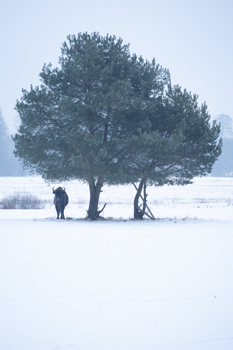 Aiko_Sukdolak-Fotoreise-Polen-9202-2 Aiko_Sukdolak-Fotoreise-Polen-9202-2