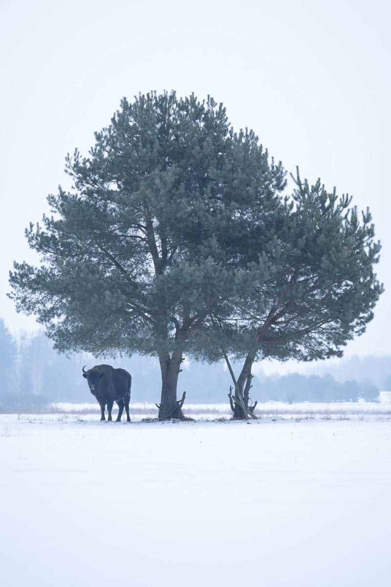 Aiko_Sukdolak-Fotoreise-Polen-9252 Aiko_Sukdolak-Fotoreise-Polen-9252