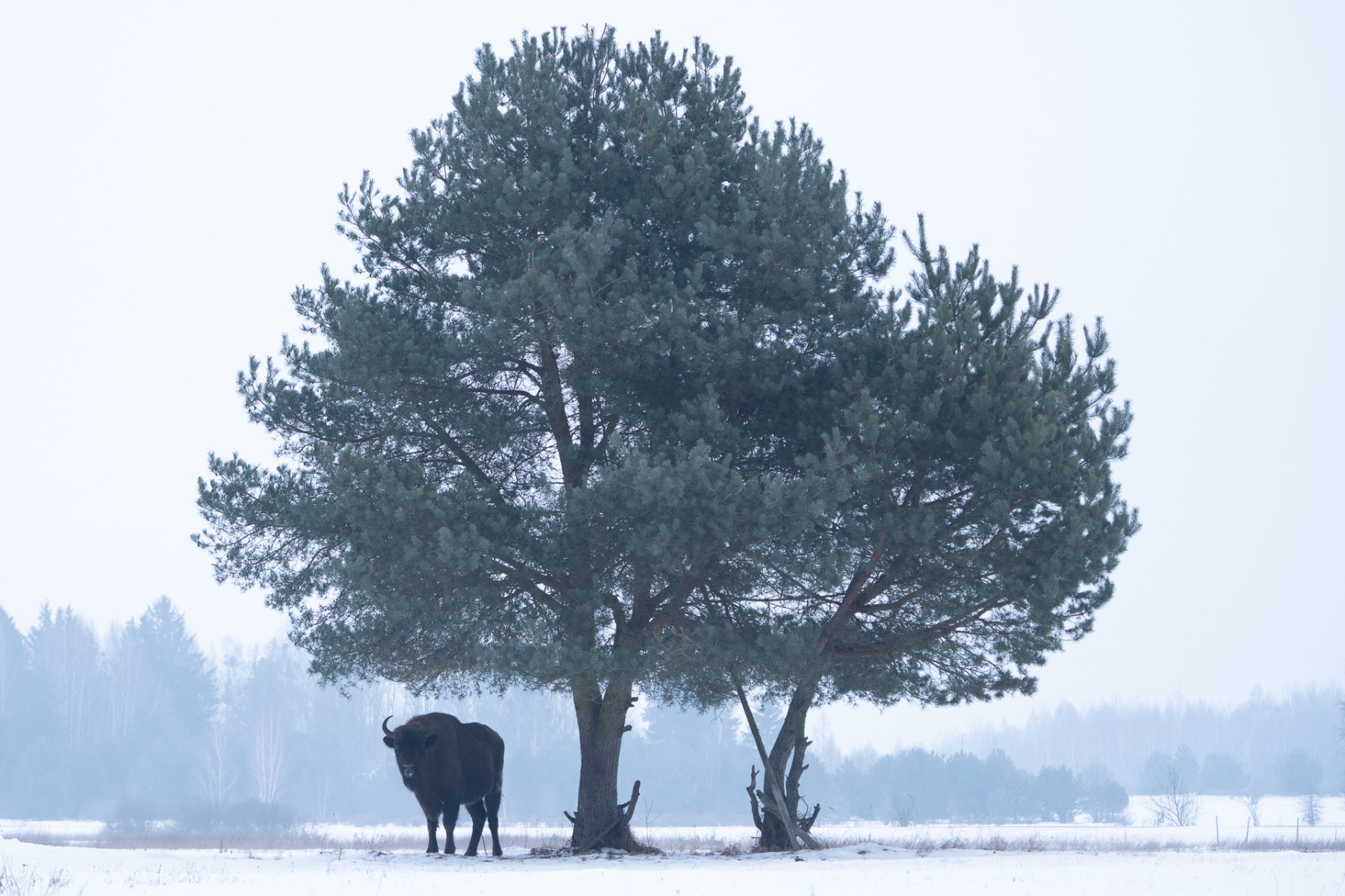 Aiko_Sukdolak-Fotoreise-Polen-9267 Aiko_Sukdolak-Fotoreise-Polen-9267