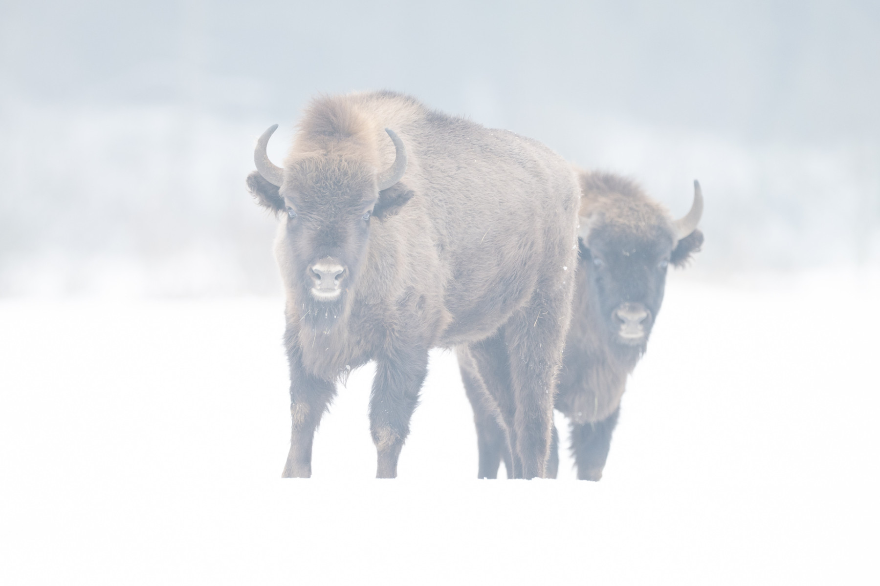 Aiko_Sukdolak-Fotoreise-Polen-9515 Aiko_Sukdolak-Fotoreise-Polen-9515