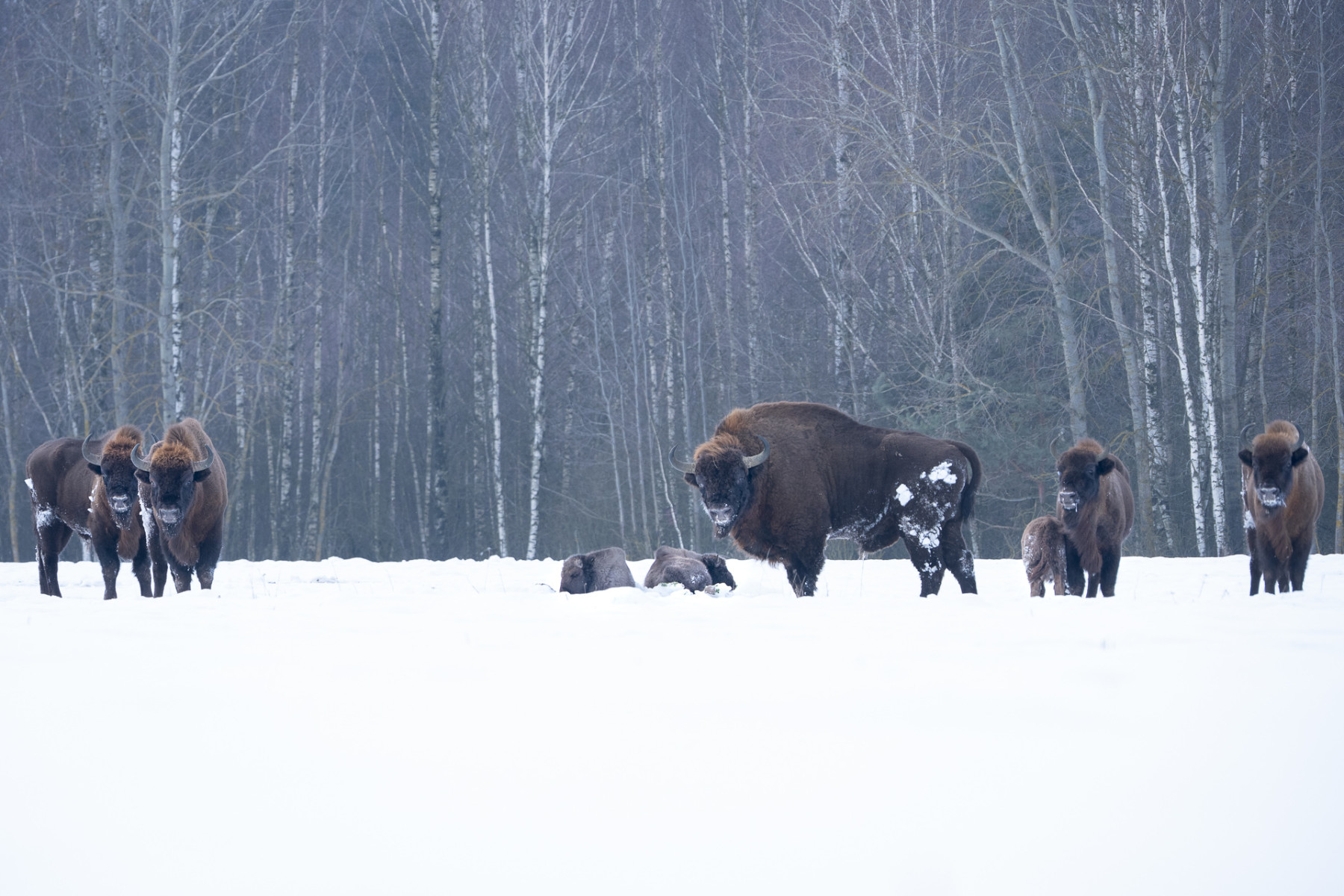 Aiko_Sukdolak-Fotoreise-Polen-9641 Aiko_Sukdolak-Fotoreise-Polen-9641