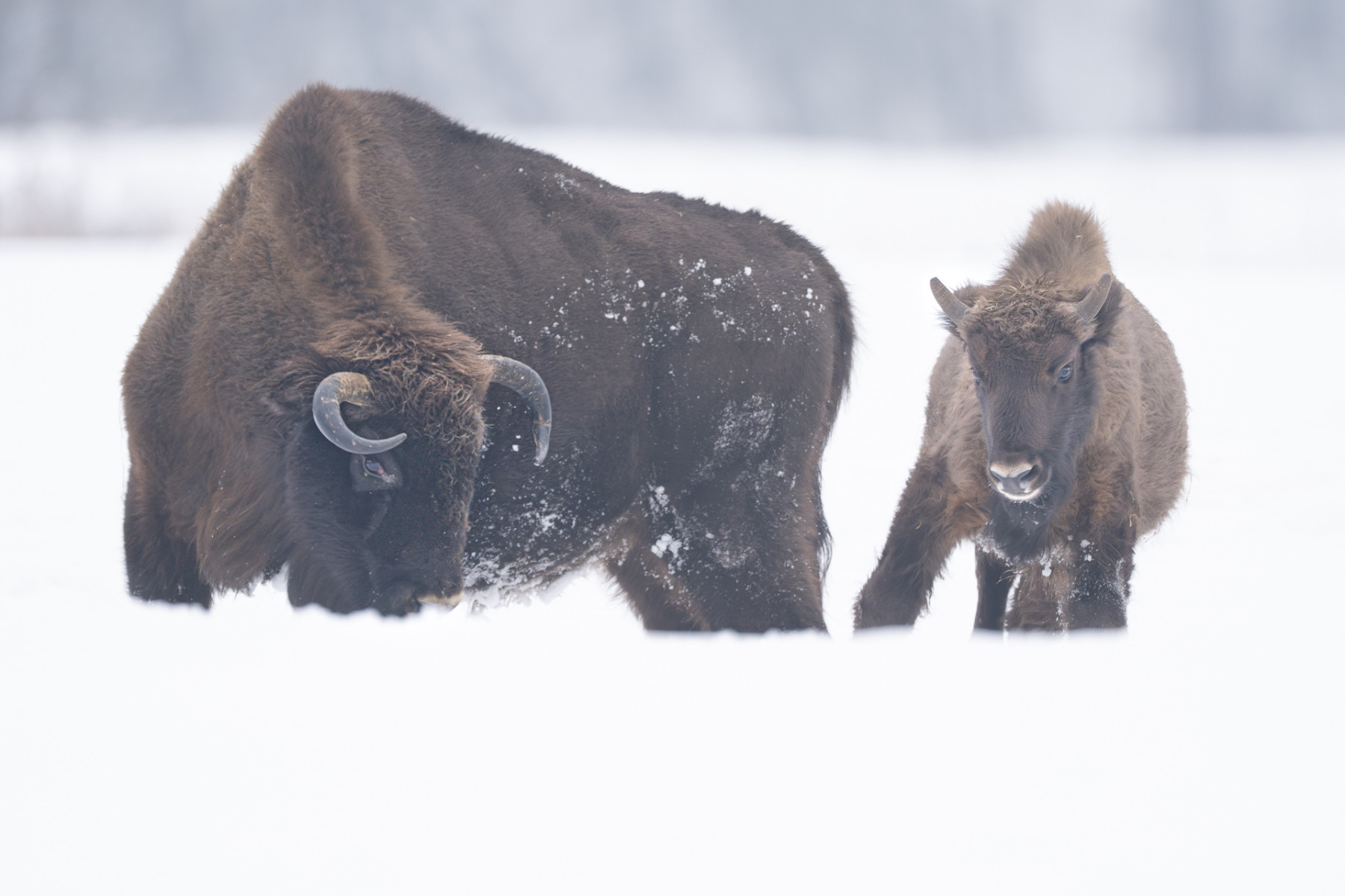 Aiko_Sukdolak-Fotoreise-Polen-9702 Aiko_Sukdolak-Fotoreise-Polen-9702
