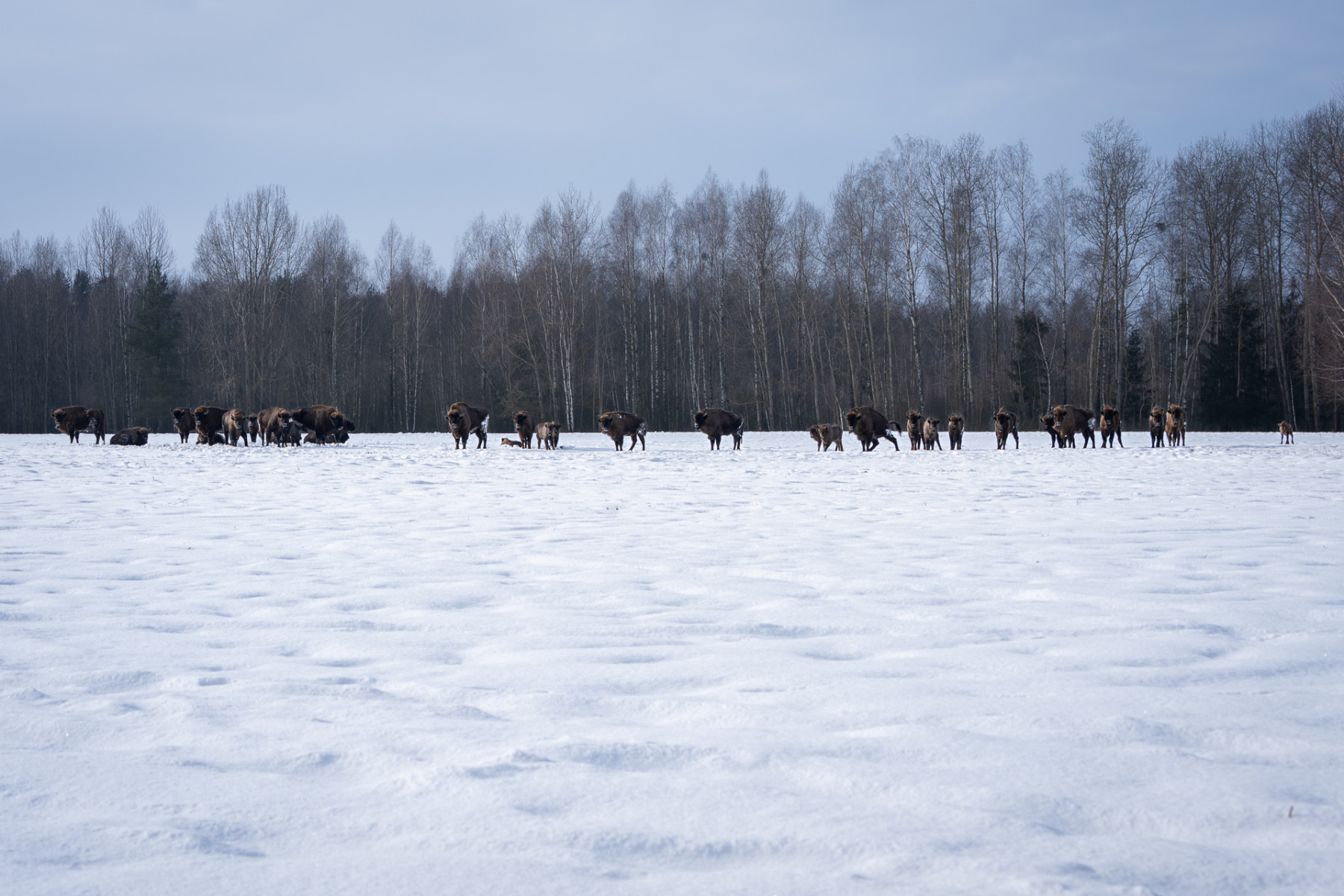 Aiko_Sukdolak-Fotoreise-Polen-9748 Aiko_Sukdolak-Fotoreise-Polen-9748
