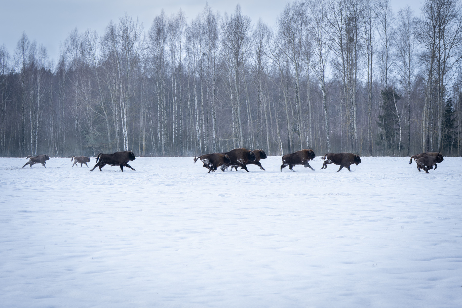 Aiko_Sukdolak-Fotoreise-Polen-9771-2 Aiko_Sukdolak-Fotoreise-Polen-9771-2