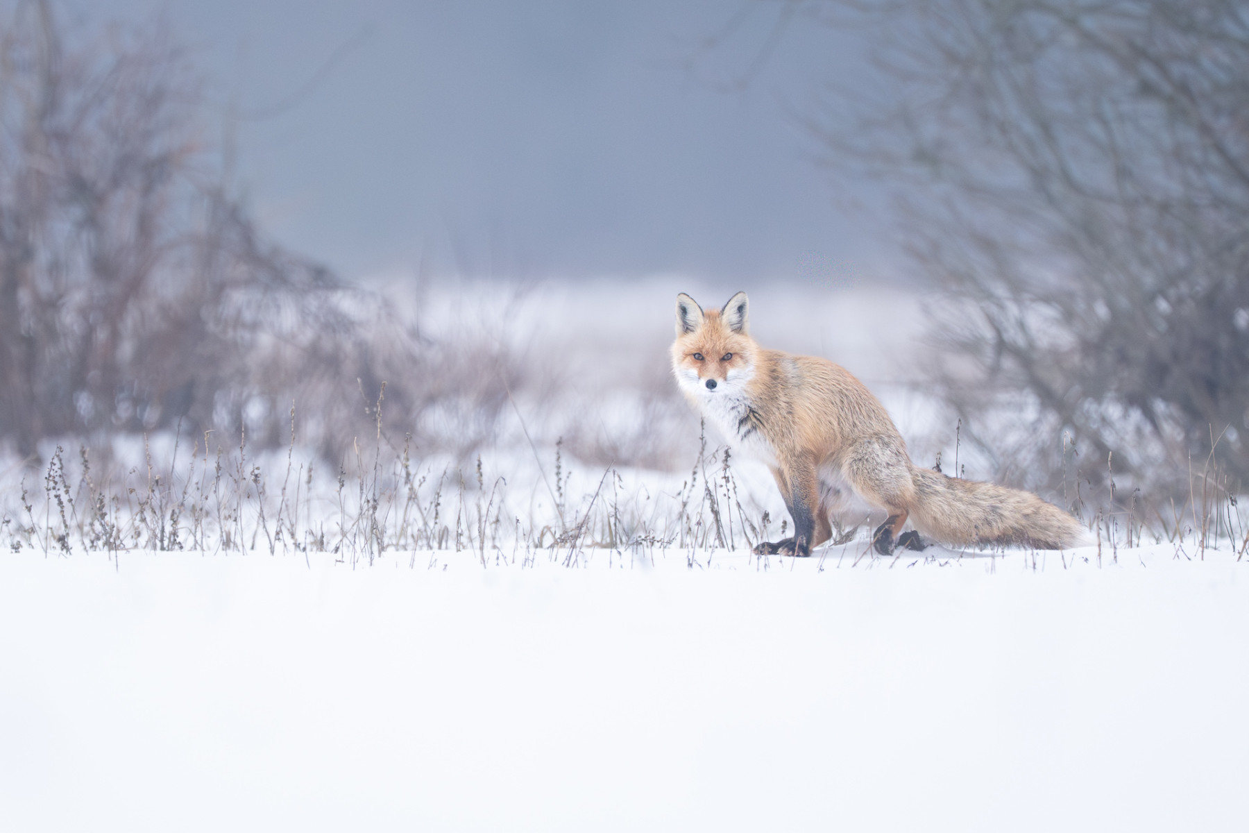 Aiko_Sukdolak-Fotoreise-Polen-9858-2 Aiko_Sukdolak-Fotoreise-Polen-9858-2