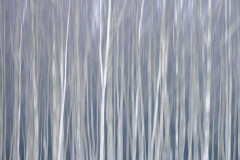 Aiko_Sukdolak-Fotoreise-Polen-0292