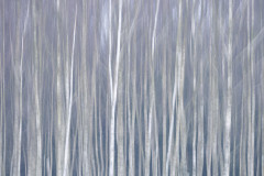 Aiko_Sukdolak-Fotoreise-Polen-0293