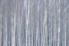 Aiko_Sukdolak-Fotoreise-Polen-0296