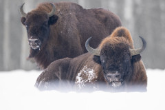 Aiko_Sukdolak-Fotoreise-Polen-0466-2