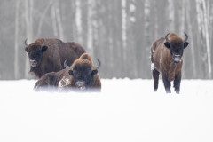 Aiko_Sukdolak-Fotoreise-Polen-0466