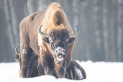 Aiko_Sukdolak-Fotoreise-Polen-0646-2