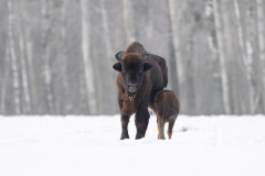 Aiko_Sukdolak-Fotoreise-Polen-0797