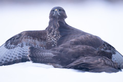 Aiko_Sukdolak-Fotoreise-Polen-1024