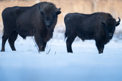 Aiko_Sukdolak-Fotoreise-Polen-1035
