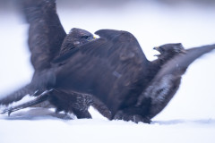 Aiko_Sukdolak-Fotoreise-Polen-1053-2