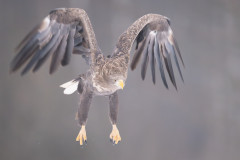 Aiko_Sukdolak-Fotoreise-Polen-2144