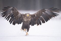 Aiko_Sukdolak-Fotoreise-Polen-2156